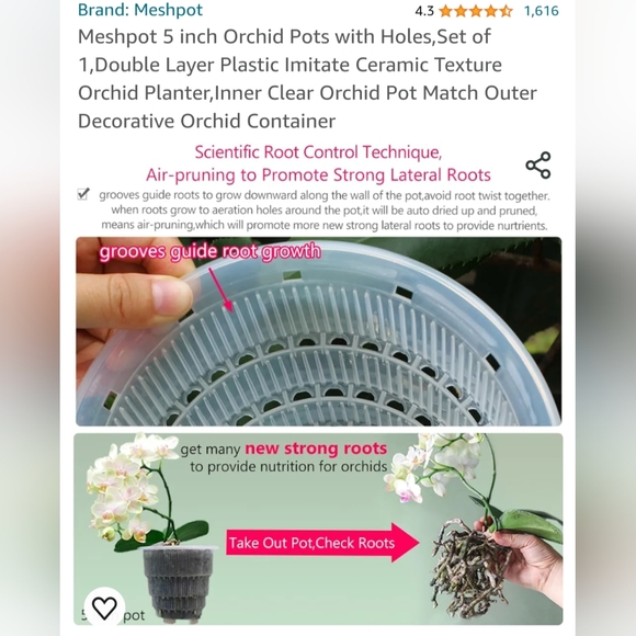 Orchid Pot - Picture 2 of 6